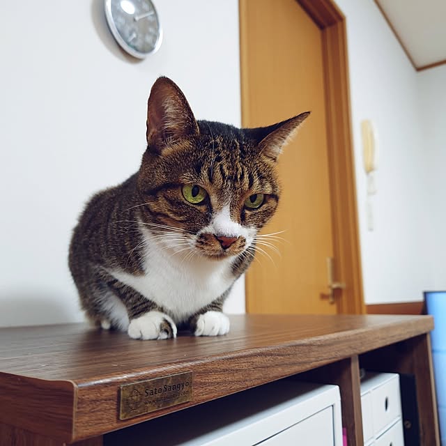 nachiさんの部屋