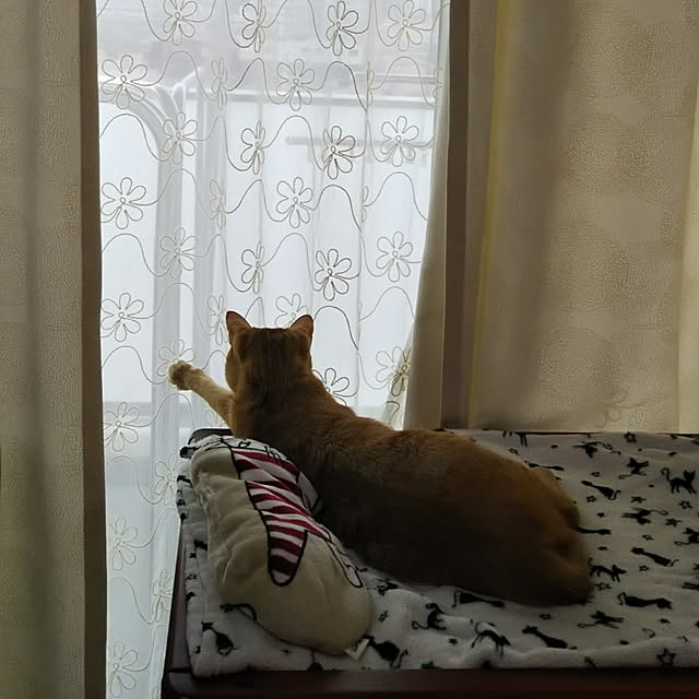 naturalさんの実例写真