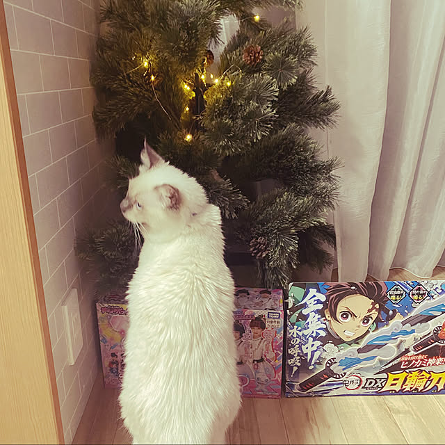 gesutyさんの実例写真