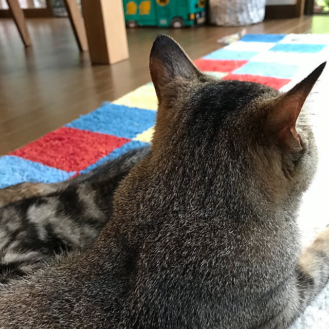 pepeさんの実例写真
