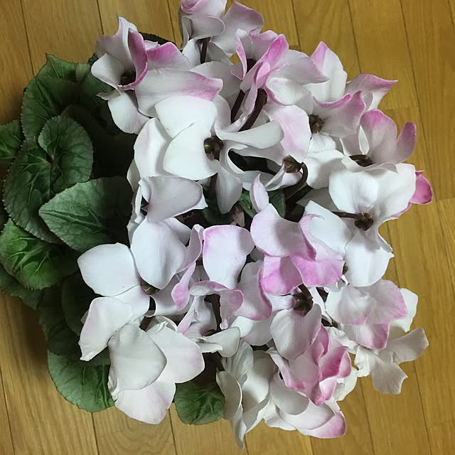 mizuhoさんの実例写真
