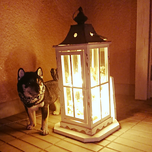 tsutawarimasuさんの実例写真