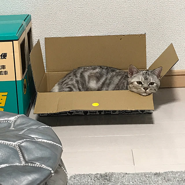 tajaboさんの実例写真