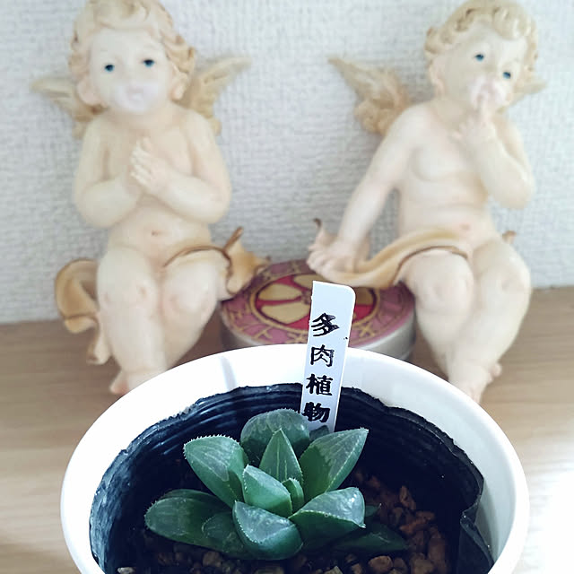Bienvenueさんの実例写真