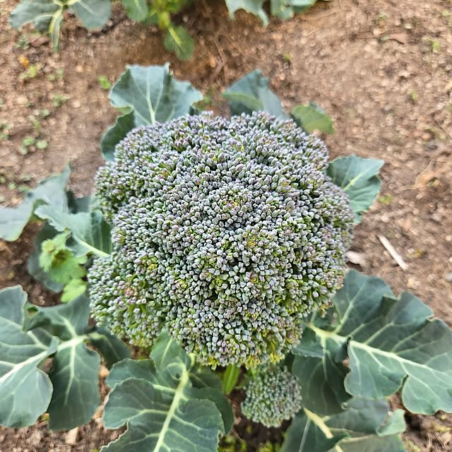 min_nimさんの実例写真