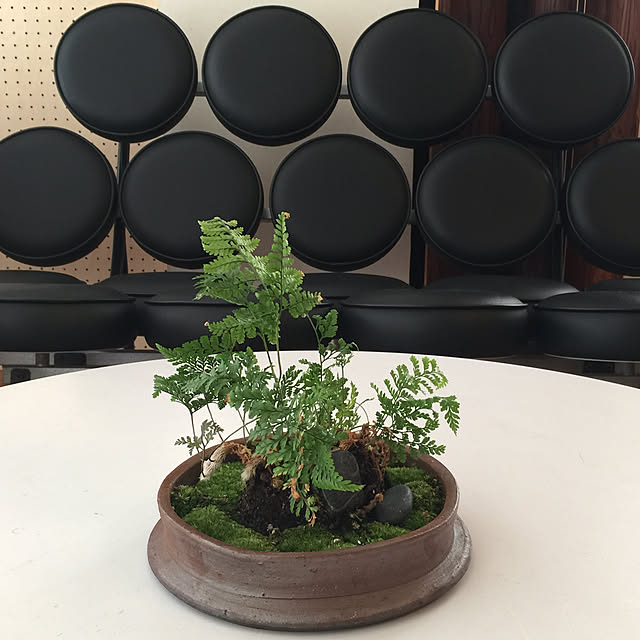 Hiroさんの実例写真