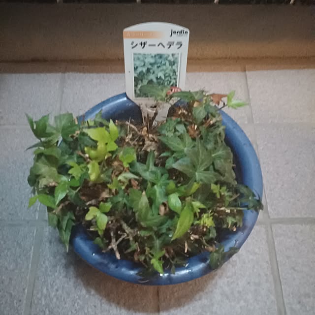 tuushiさんの実例写真