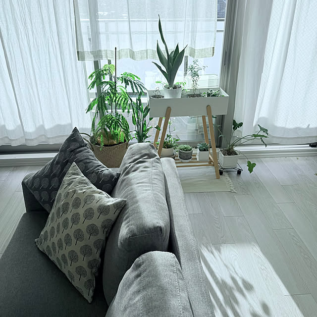 kokedamaさんの実例写真