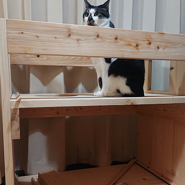 e-mailさんの実例写真
