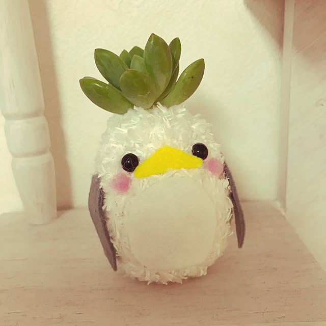 takumiraiさんの実例写真