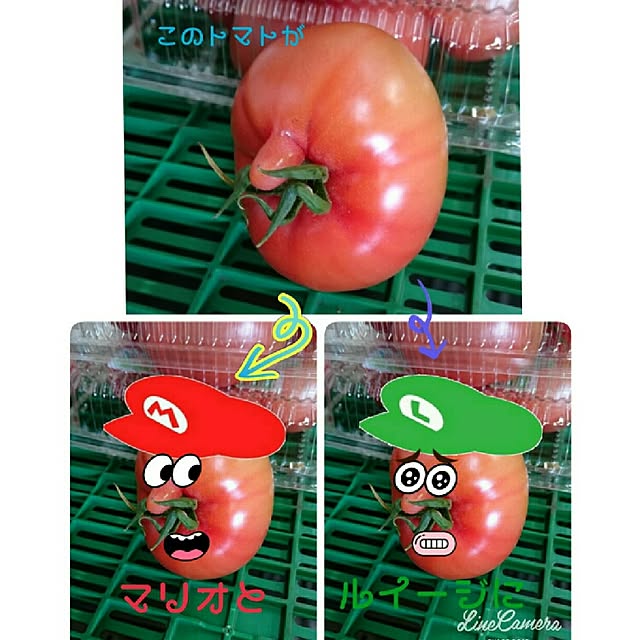 maiさんの実例写真