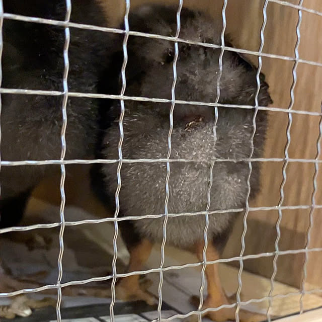 mihoさんの実例写真