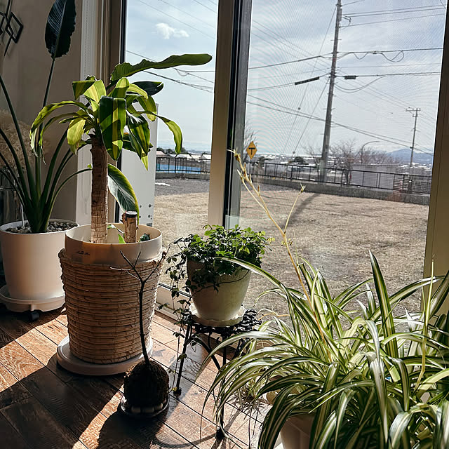 hanahana1444さんの部屋