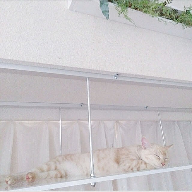 heart.emiemi57.whiteさんの実例写真