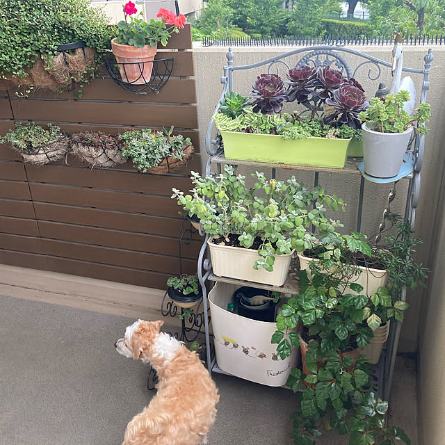 marukoさんの部屋