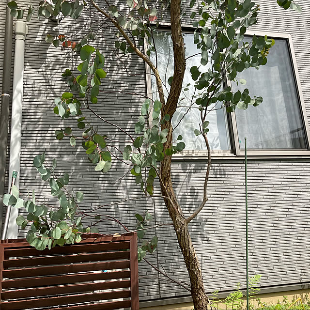 nonoさんの実例写真