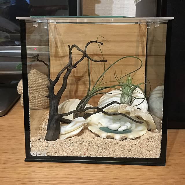ainowa.さんの実例写真