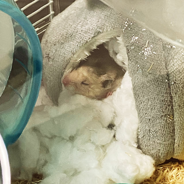 hiroさんの実例写真