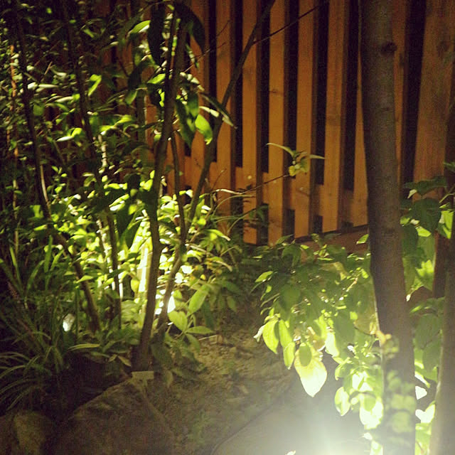 climbimg1009さんの実例写真