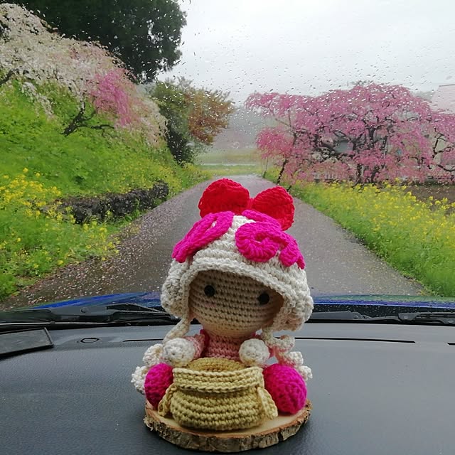 実例写真