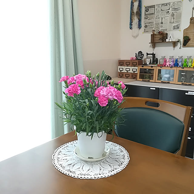akanegumoさんの実例写真