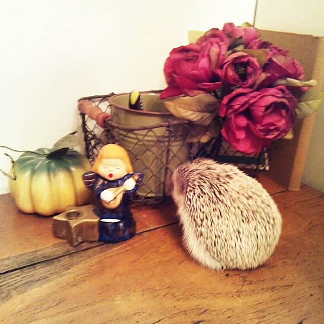 kuruさんの実例写真
