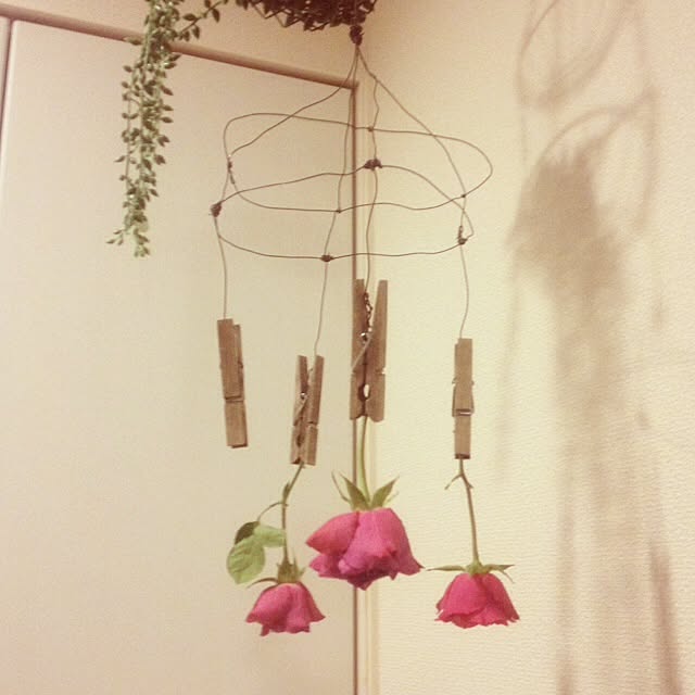 motukoさんの実例写真