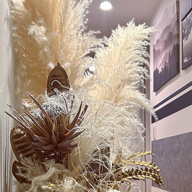 DAYONEさんの部屋