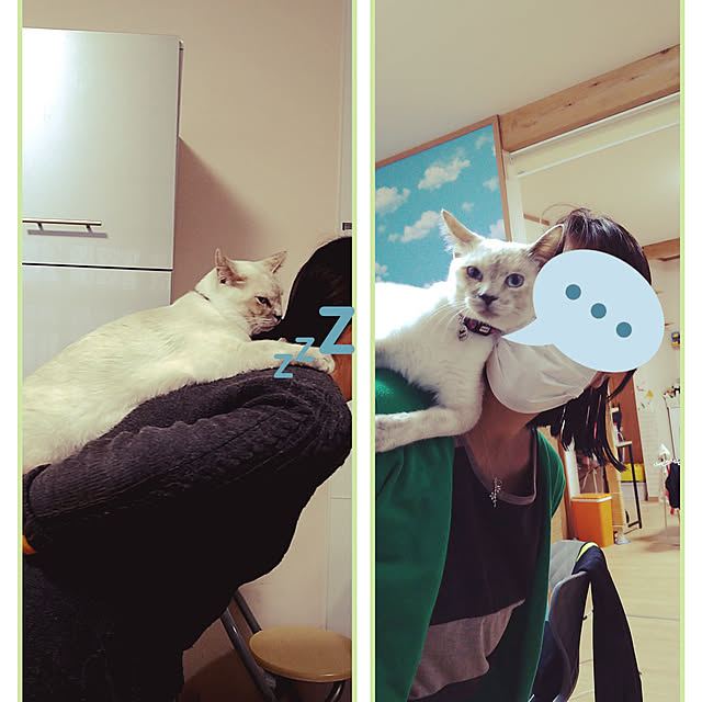 kiyohima229さんの実例写真