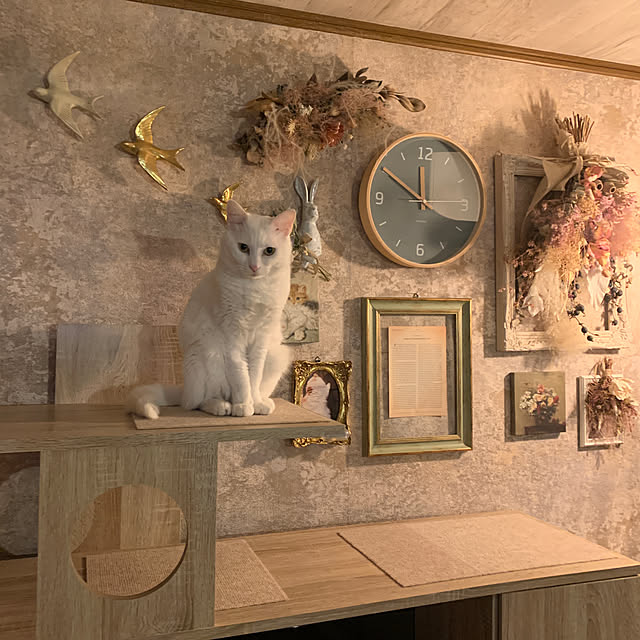 keiさんの実例写真