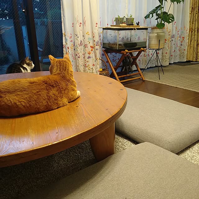 okyosan101さんの部屋