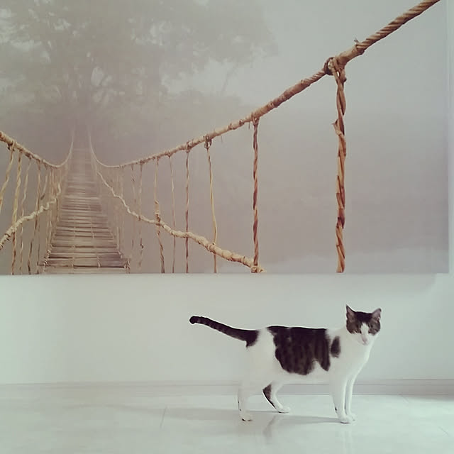 runayucoさんの実例写真