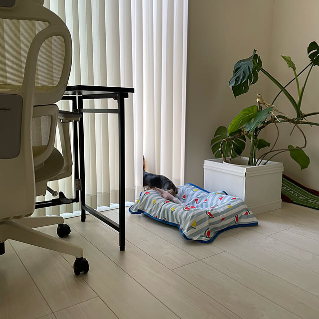 yuminnieさんの部屋