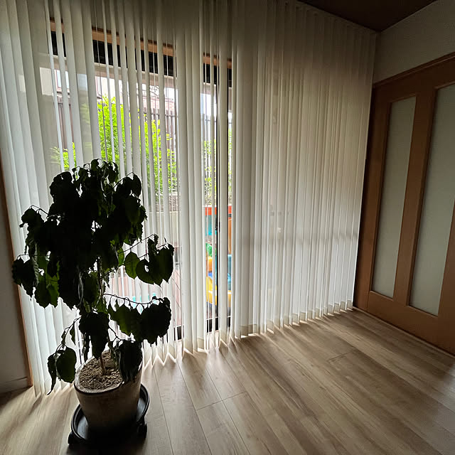 41310さんの実例写真