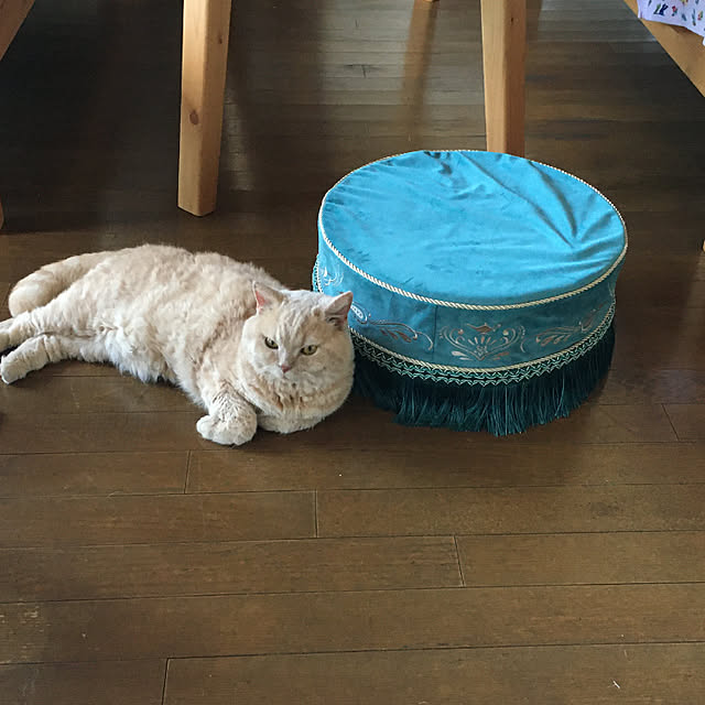 naokoさんの実例写真