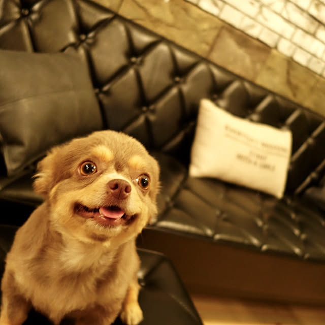 Kazuyoshiさんの実例写真
