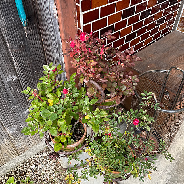 shin0719さんの部屋