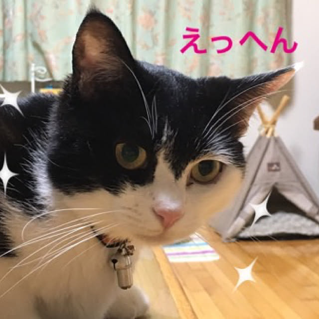 tommamaさんの実例写真