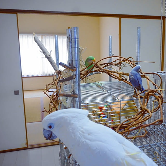 aromameさんの実例写真