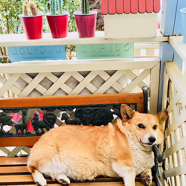brownyさんの実例写真