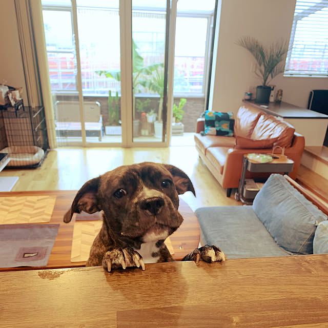 Maさんの実例写真