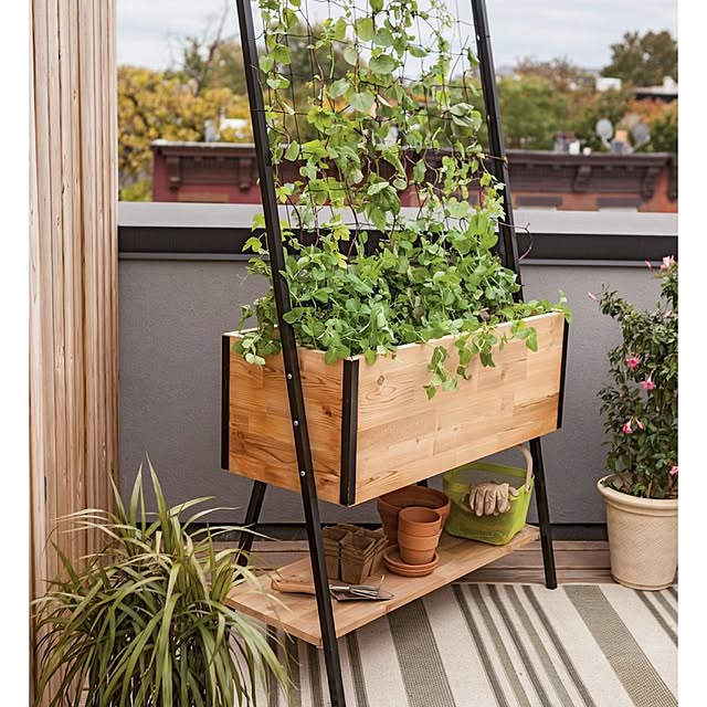 玄関/入り口/観葉植物のインテリア実例 - 2017-06-28 17:55:18