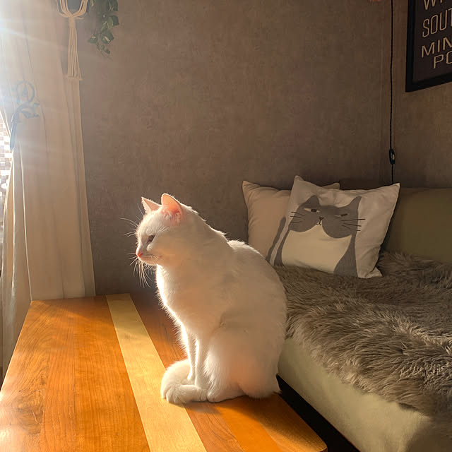 keiさんの部屋