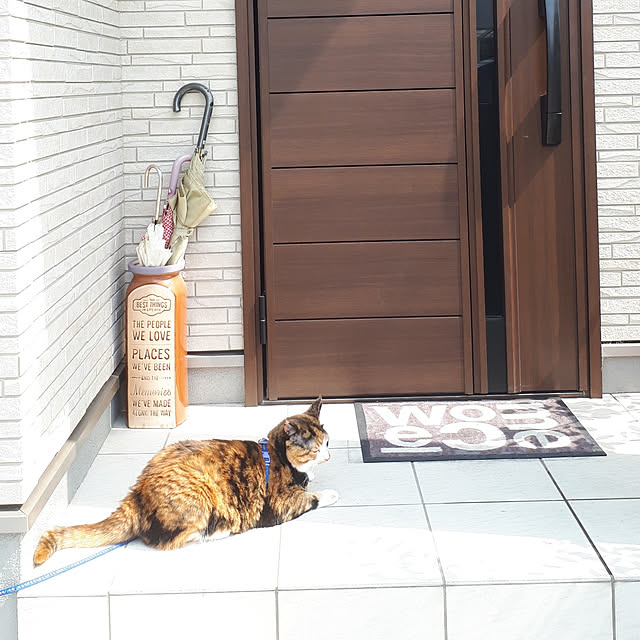 aiさんの実例写真