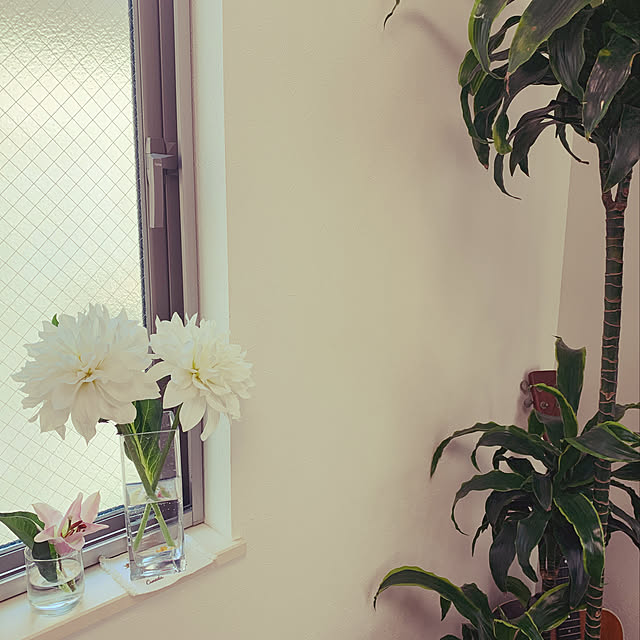 masaさんの実例写真