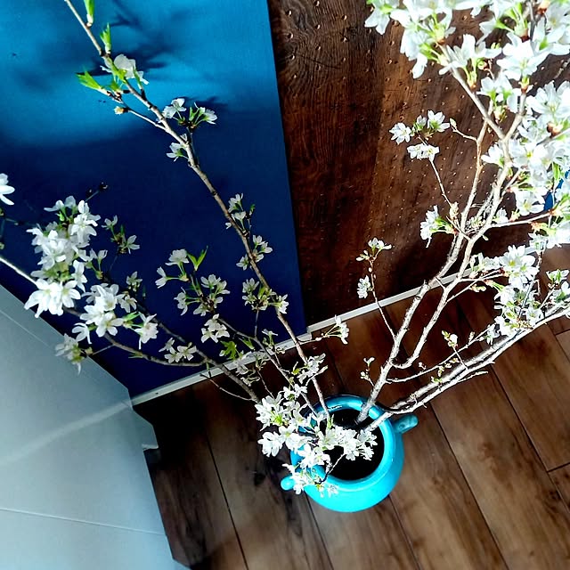 cafe0415hさんの部屋
