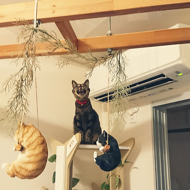 taka-kiさんの実例写真