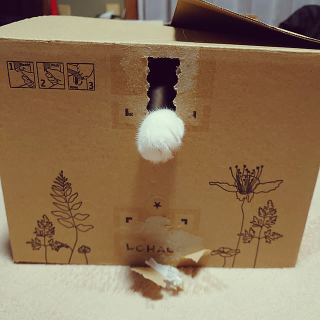 fukuさんの実例写真