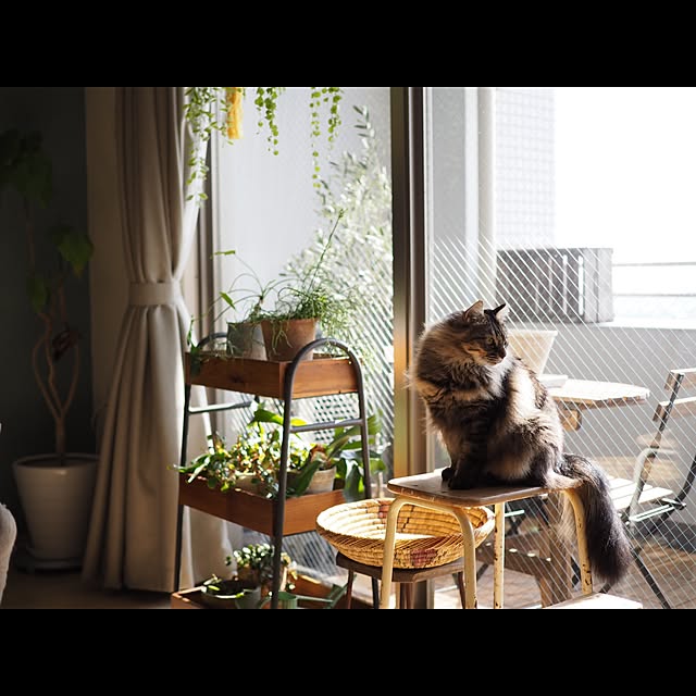 sachiblancさんの実例写真