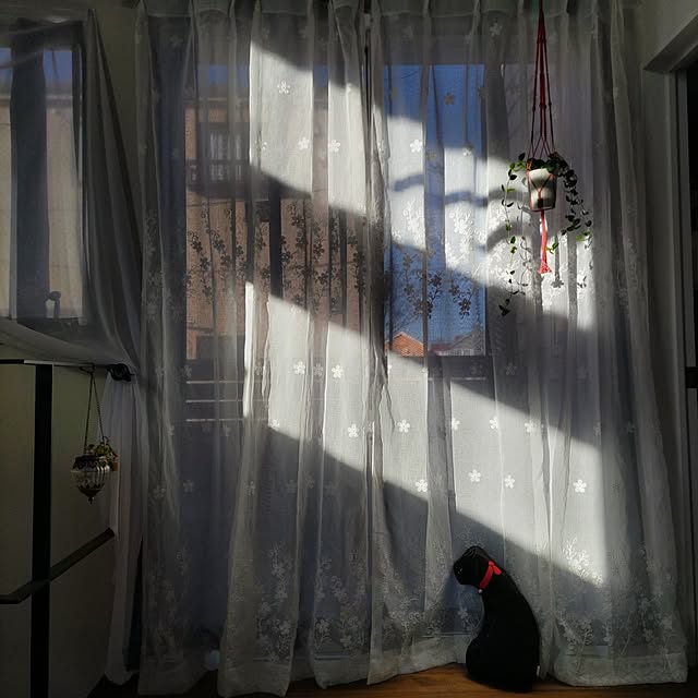 Maroさんの実例写真